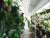 
          
            The Bola Garden
          
        