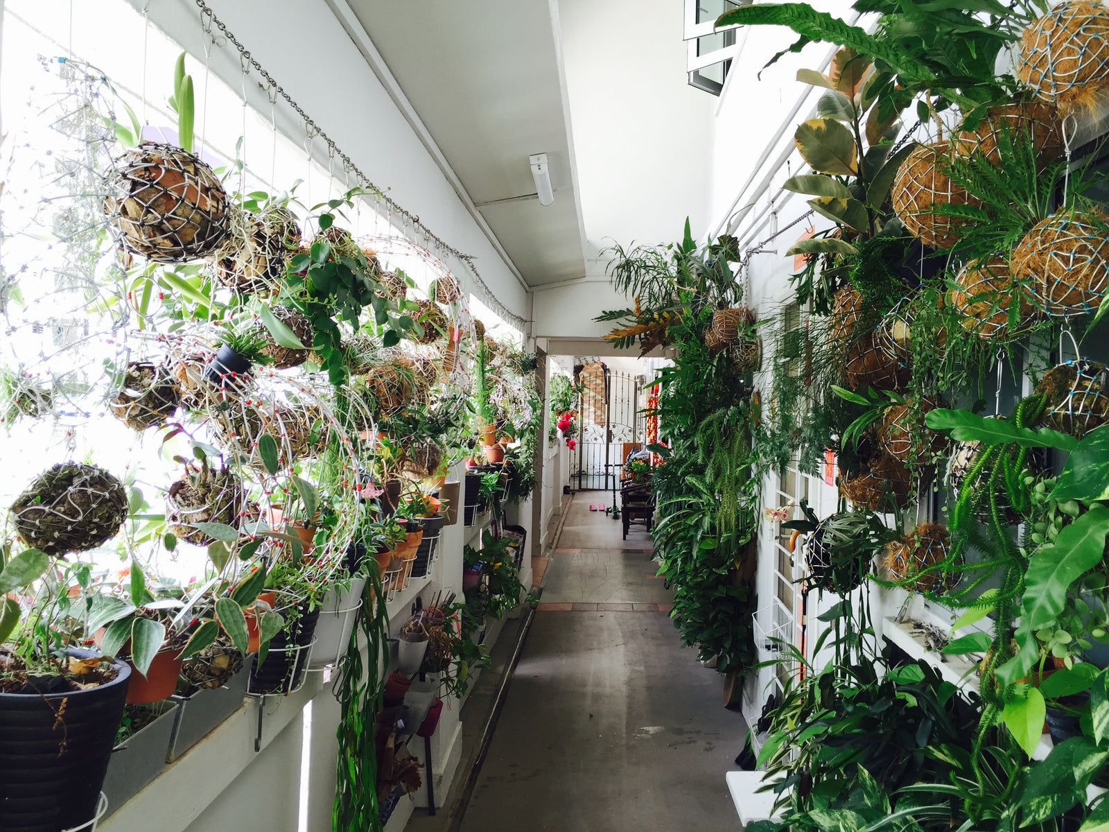 Bola Hanging Planters